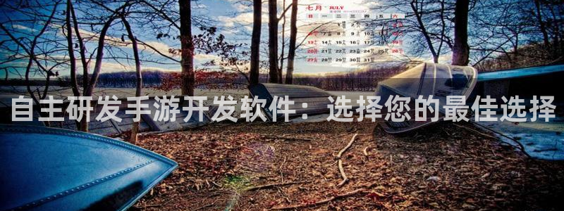 V8娱乐注册：自主研发手游开发软件：选择您的最佳选择