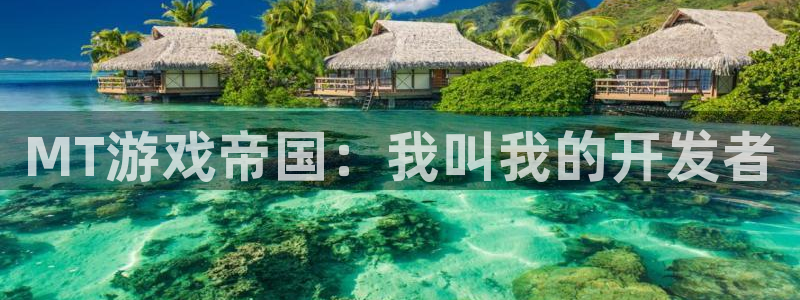 V8娱乐官网：MT游戏帝国：我叫我的开发者