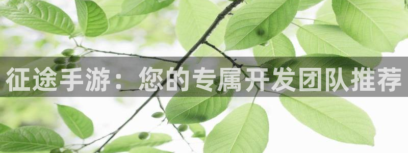 V8娱乐网：征途手游：您的专属开发团队推荐