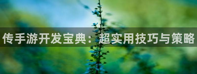 V8娱乐登录：传手游开发宝典：超实用技巧与策略