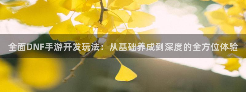V8娱乐平台：全面DNF手游开发玩法：从基础养成到深度的全方