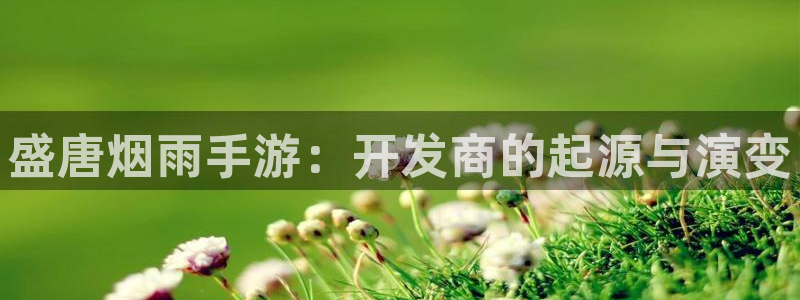 V8娱乐登录：盛唐烟雨手游：开发商的起源与演变