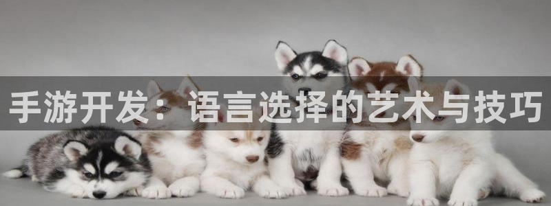 V8娱乐注册：手游开发：语言选择的艺术与技巧