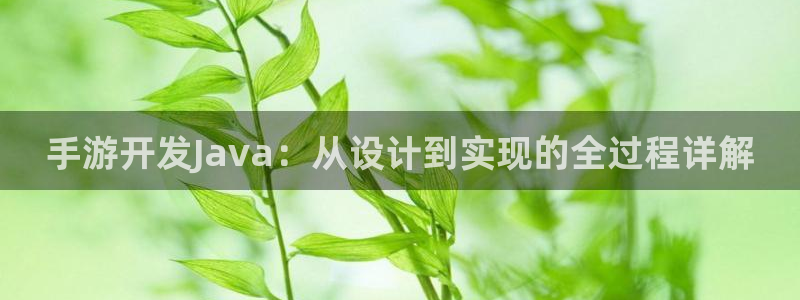 V8娱乐登录：手游开发Java：从设计到实现的全过程详解