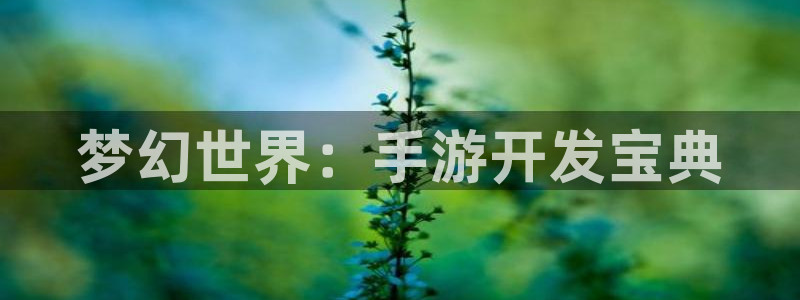 V8娱乐登录：梦幻世界：手游开发宝典