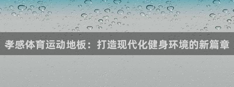 球王会体育：孝感体育运动地板：打造现代化健身环境的新篇章