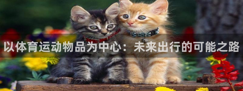 球王会体育：以体育运动物品为中心：未来出行的可能之路