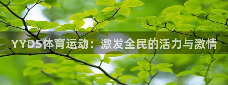 球王会体育：YYDS体育运动：激发全民的活力与激情