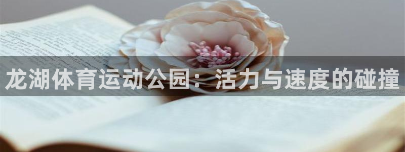 球王会体育：龙湖体育运动公园：活力与速度的碰撞