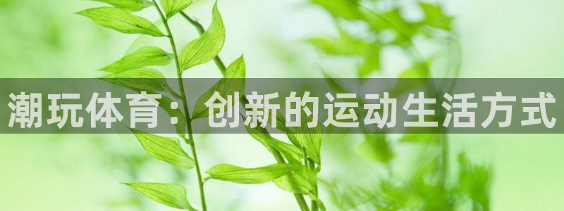 球王会体育：潮玩体育：创新的运动生活方式