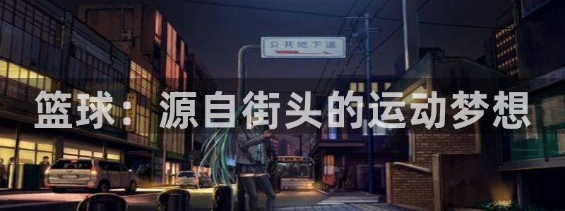 球王会体育：篮球：源自街头的运动梦想